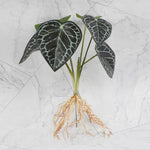 décoration intérieure plante artificielle verte feuilles modernes sans pot