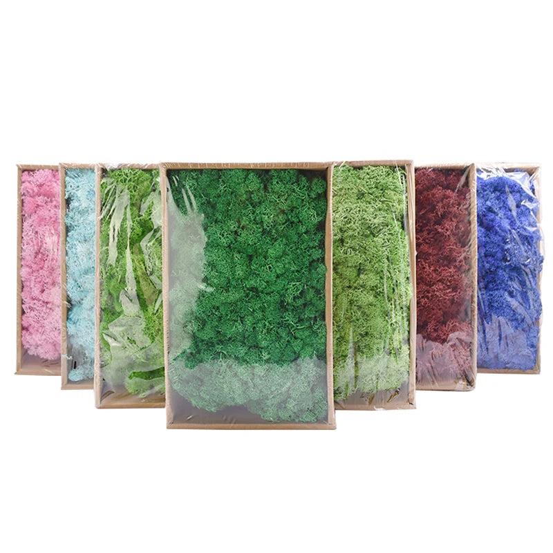 mousse séchée décorative verte naturelle roses artificielles coquillages décoration intérieur extérieur