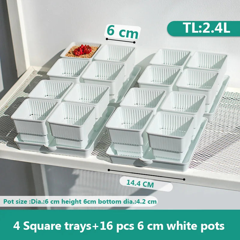pots plastique blanc succulentes racines contrôle moderne perforations verticales jardin