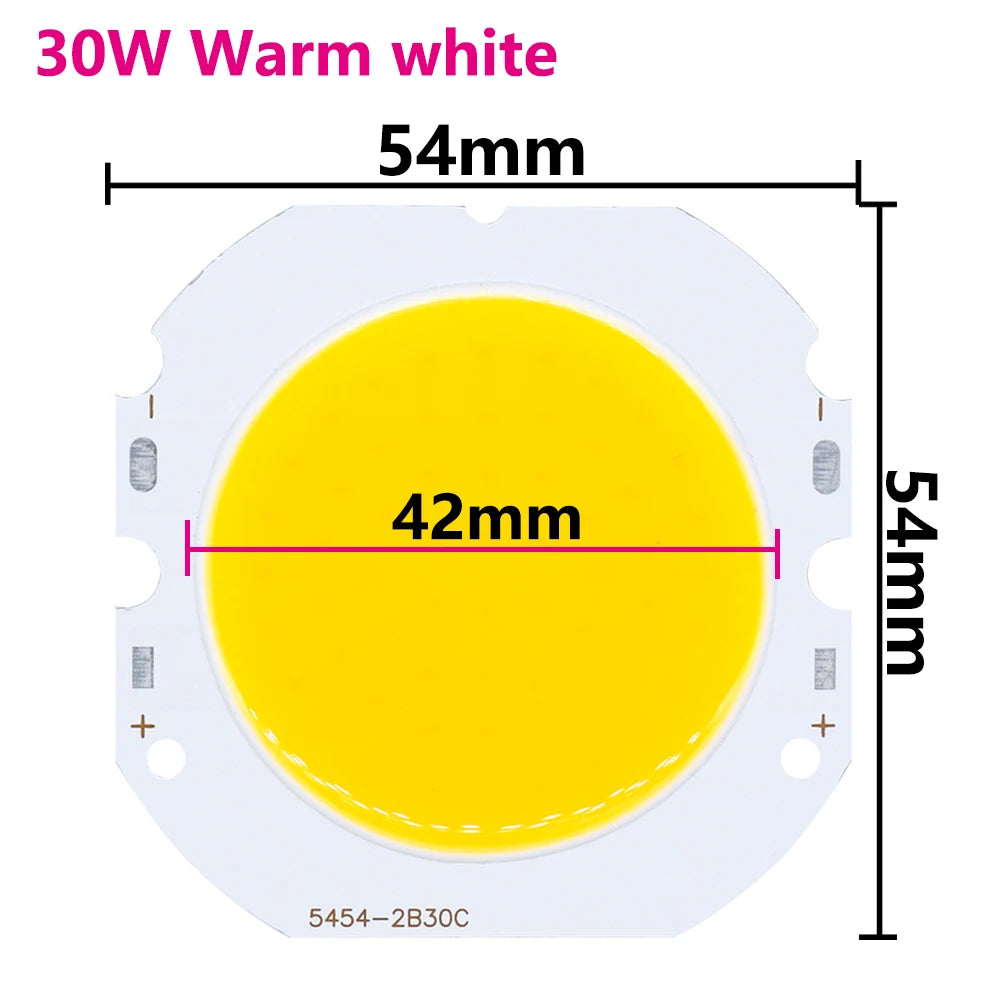 ampoule led cob 30w dc90 96v lumiere froide lumiere chaude 2500lm industrielle fixations