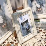 Cadre photo vintage rectangulaire résine marron foncé vert blanc papillon oiseau texte ancien décoration