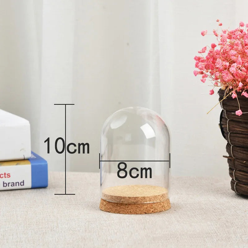 cloche verre transparent liège base décoration intérieure fleurs séchées classique moderne rusticité