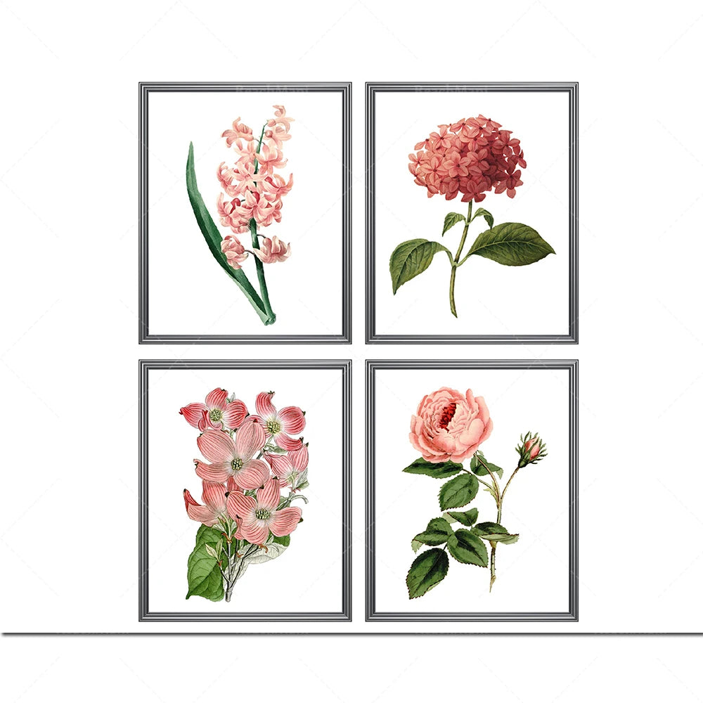 Ensemble de quatre illustrations botaniques colorées montrant des fleurs roses épanouies.