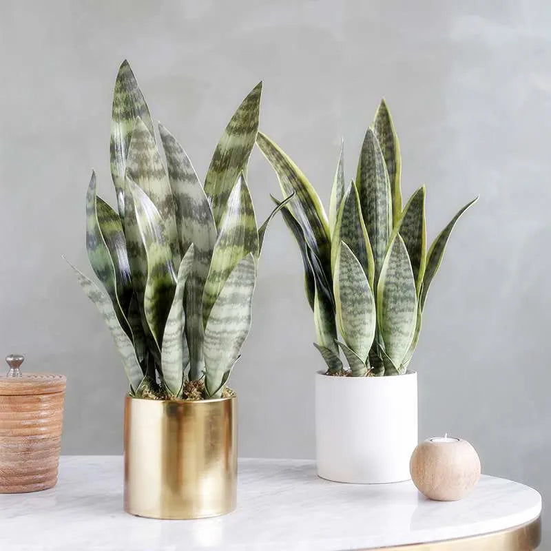 plante artificielle sansevieria feuilles vertes rayées pot décoration intérieur moderne tropical