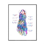 Cette image montre des nerfs et des muscles colorés d'un pied humain, avec des annotations anatomiques en latin. L'image est d'un style artistique et semble être une illustration scientifique détaillée de l'anatomie du pied.