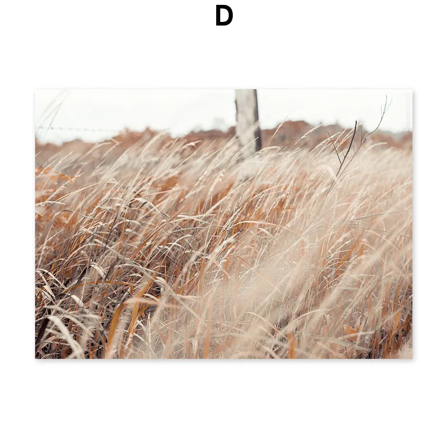 Champ de blé doré balayé par un vent léger dans la lumière de l'après-midi.