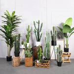 plantes artificielles vertes points dorés moderne décoration extérieure pot noir arrangement fleuri cactus succulente