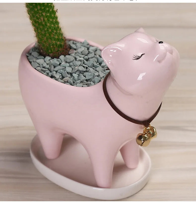 pots fleurs forme chat cactus rose blanc bleu clair détails yeux clochette collier cuir
