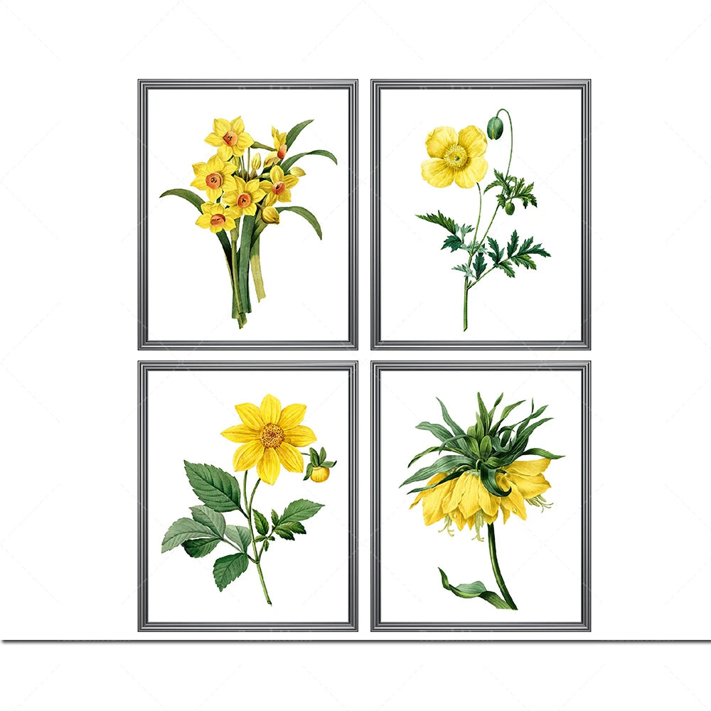 Ensemble de quatre illustrations botaniques détaillées de fleurs de tournesols jaunes aux feuilles vertes, présentées dans des cadres élégants.