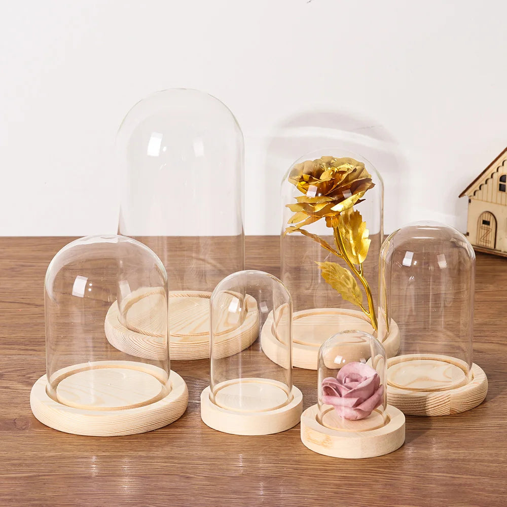 cloche verre moderne base bois anti poussière boîte rangement fleurs transparent légèrement opaque adhésif