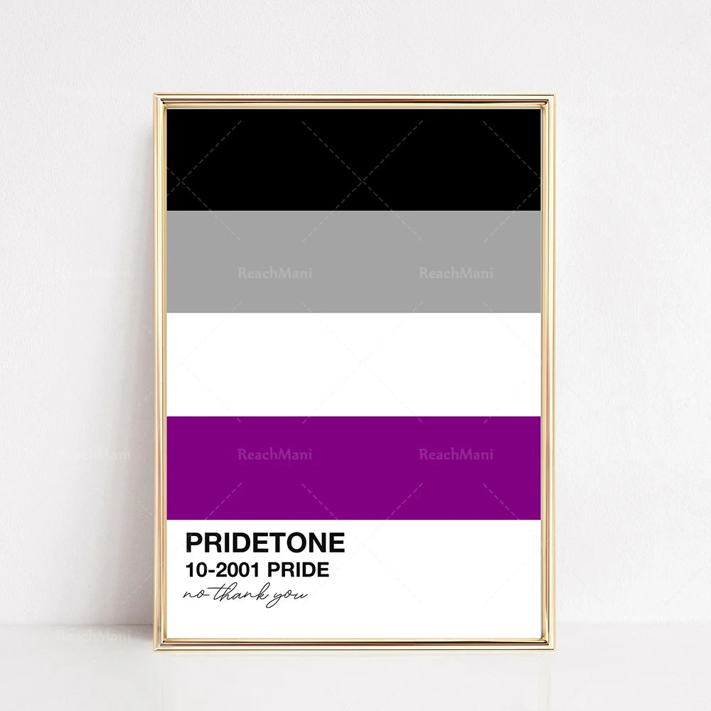 Cette image représente une affiche de couleurs géométriques avec le nom de la teinte "Pridetone" et la mention "no thank you".