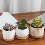 plateau bambou minimaliste plateaux carrés ronds rectangles succulentes cache plante moderne