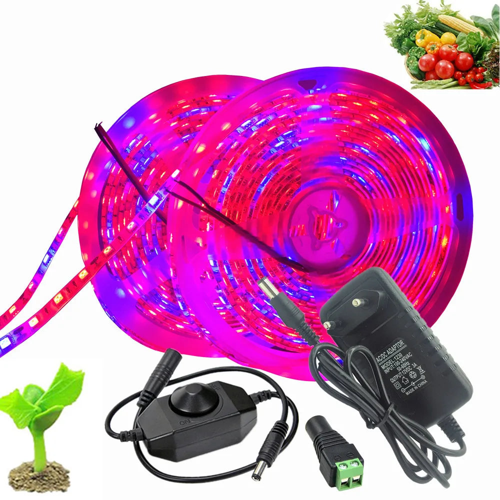 ruban led culture plantes 10m rouge bleu full spectrum adhésif moderne led phyto adaptable
