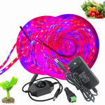 ruban led culture plantes 10m rouge bleu full spectrum adhésif moderne led phyto adaptable