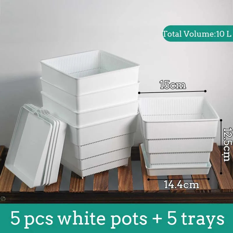 Pots succulentes blancs moderne rainures verticales drainage aération 10cm 12cm 15cm