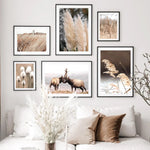 Une galerie murale composée de magnifiques photographies de la nature, mettant en scène des graminées et des silhouettes d'animaux sauvages dans un paysage forestier.