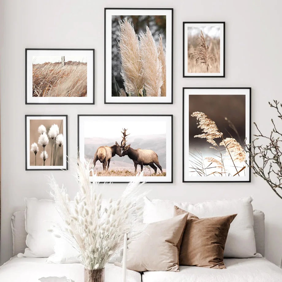 Une galerie murale composée de magnifiques photographies de la nature, mettant en scène des graminées et des silhouettes d'animaux sauvages dans un paysage forestier.