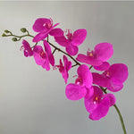 décoration intérieure orchidées artificielles blanc rose jaune feuilles vertes minimaliste mariage anniversaire baby shower