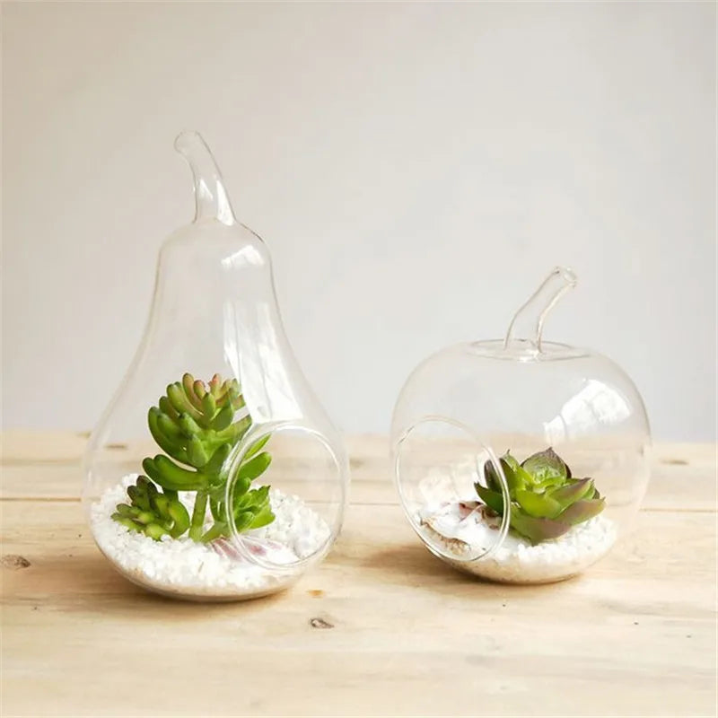 vase transparent pomme poire plantes succulentes gravier blanc écorces fleurs baies mousse minimaliste champêtre