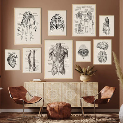 Tableau anatomie humaine vintage impression sur toile déco médicale rétro