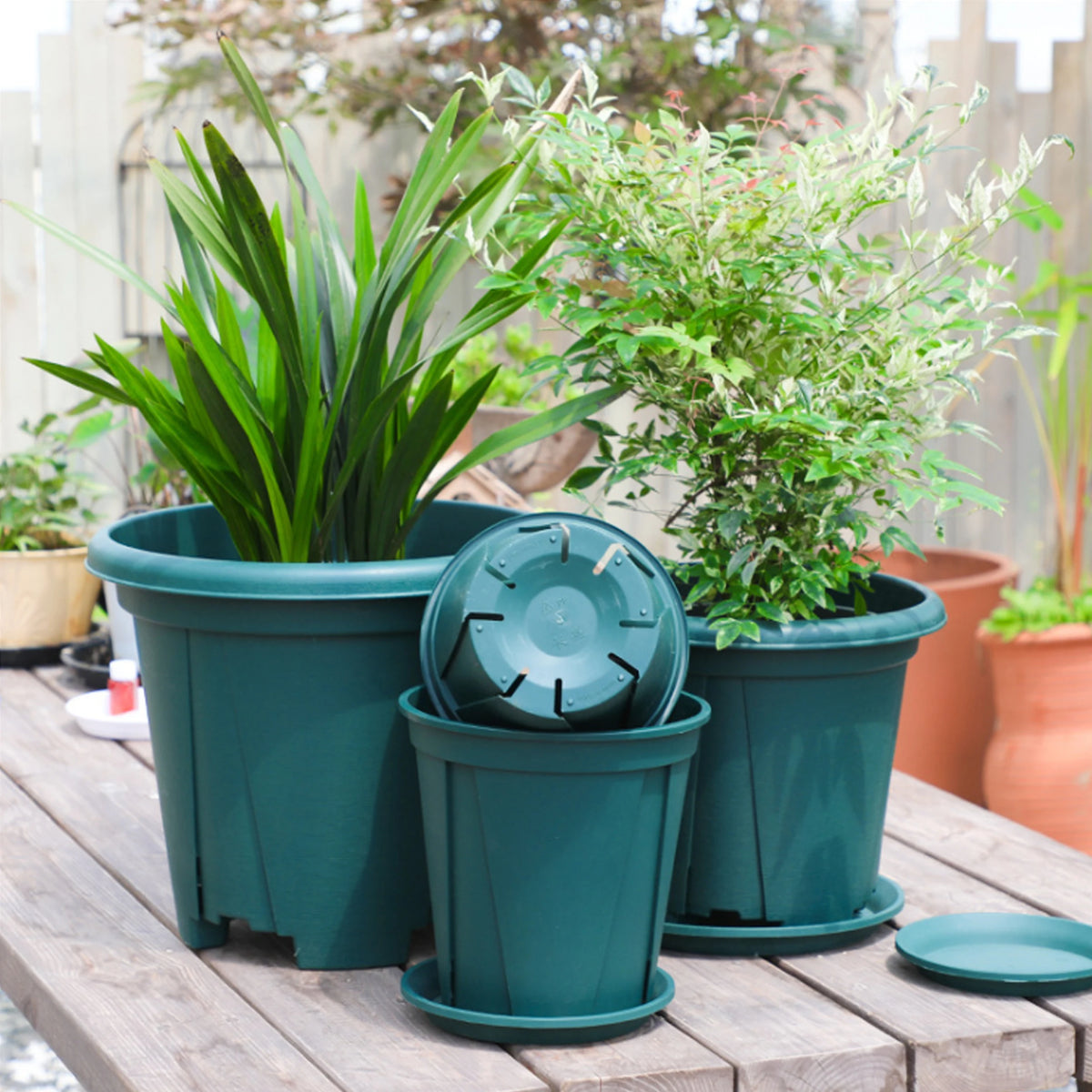 pots fleurs plastique vert moderne soucoupe cannelée taille moyenne balconintérieur
