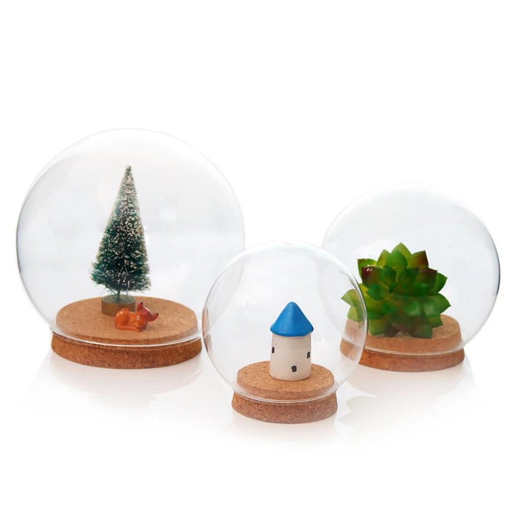 boule verre moderne transparente vase table couvercle liège maison arborée plante succulente miniature arrangement