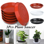 assiettes plante plastique rouge noir blanc modernes 10 pouces