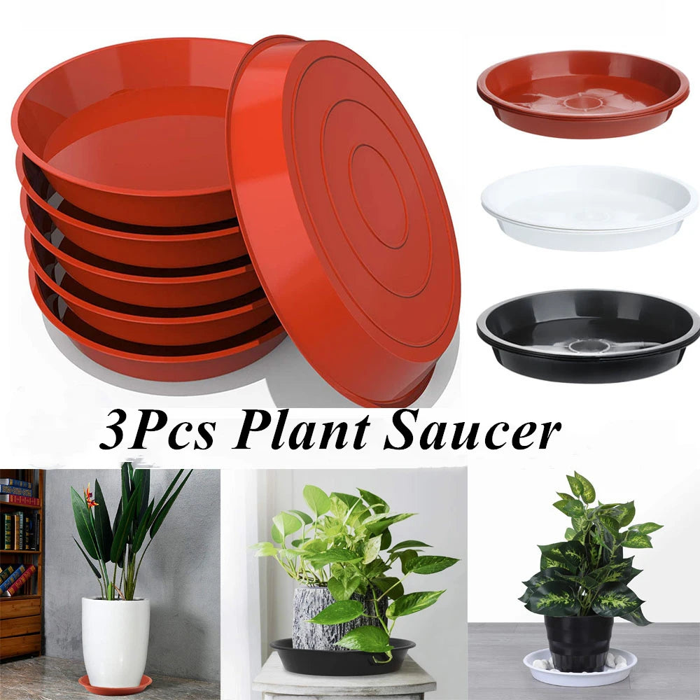 assiettes plante plastique rouge noir blanc modernes 10 pouces
