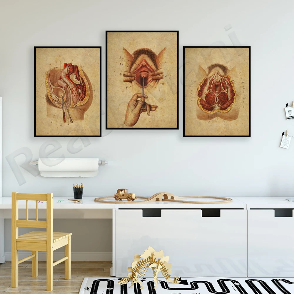 Affiches anatomiques de motifs floraux avec des détails fascinants, conçues pour une décoration d'intérieur unique et éducative.