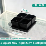 pots plastique blanc succulentes racines contrôle moderne perforations verticales jardin