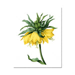 Une fleur de dahlia jaune aux pétales lumineux et aux feuilles vertes s'épanouit avec grâce sur sa tige.