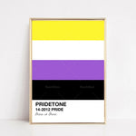 Affiche design épuré aux couleurs de la fierté arborant les logos Reachmani et l'inscription "Pridetone 14-2012 Pride, Love is Love".