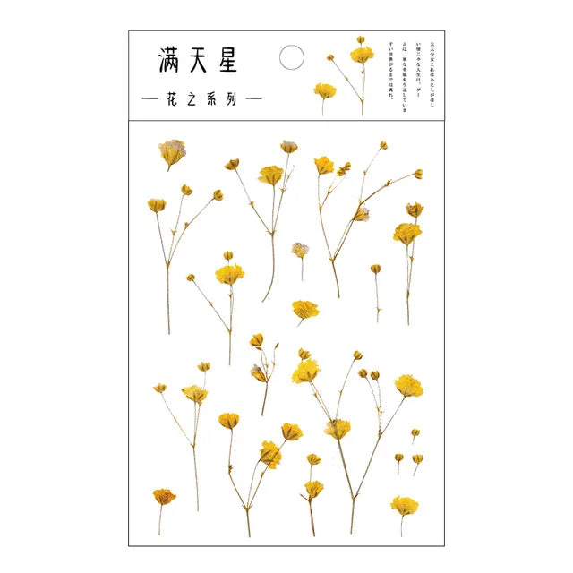 fleurs séchées décoratives naturelles adhésives transparentes variées sacs enfants papeterie mignonne