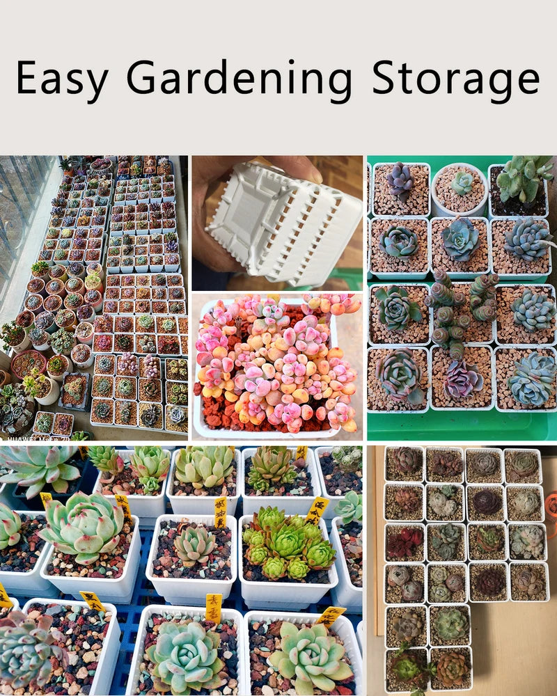 pots plastique blanc succulentes racines contrôle moderne perforations verticales jardin