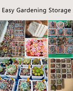 pots plastique blanc succulentes racines contrôle moderne perforations verticales jardin
