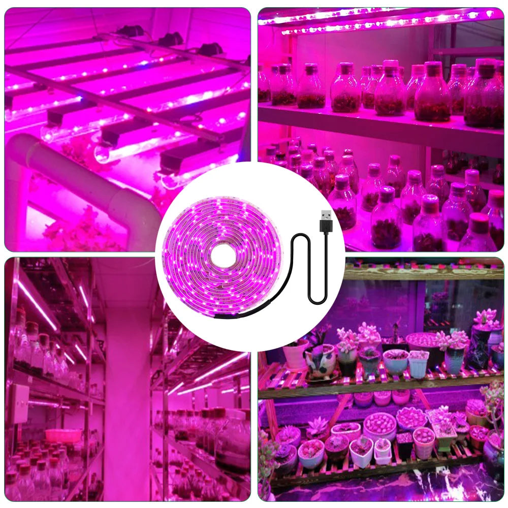 ruban led croissance violet moderne 5v usb 2835 chip abs ip20 ip65