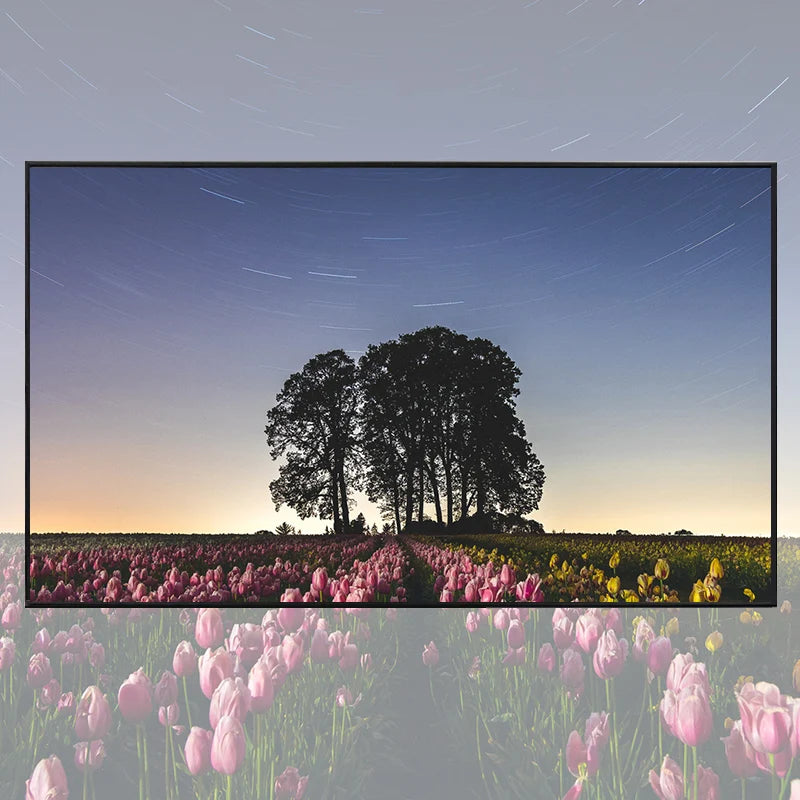 écran projection portable 100 120 133 pouces tissu anti reflet velcro moderne