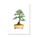 Un bonsaï miniature, arbre aux branches complexes et aux feuilles verdoyantes, planté dans un pot en bois.