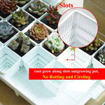 Bacs pépinière modernes pots 6cm blancs poignées ridés plantes intérieuresDecorationMaison
