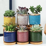 pots céramique fleurs chouette tête oiseau couleur variée texture artistique succulente