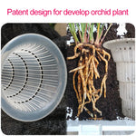 pot transparent moderne air pruning racines orchidées décoration maison fleur plante verte sans fini