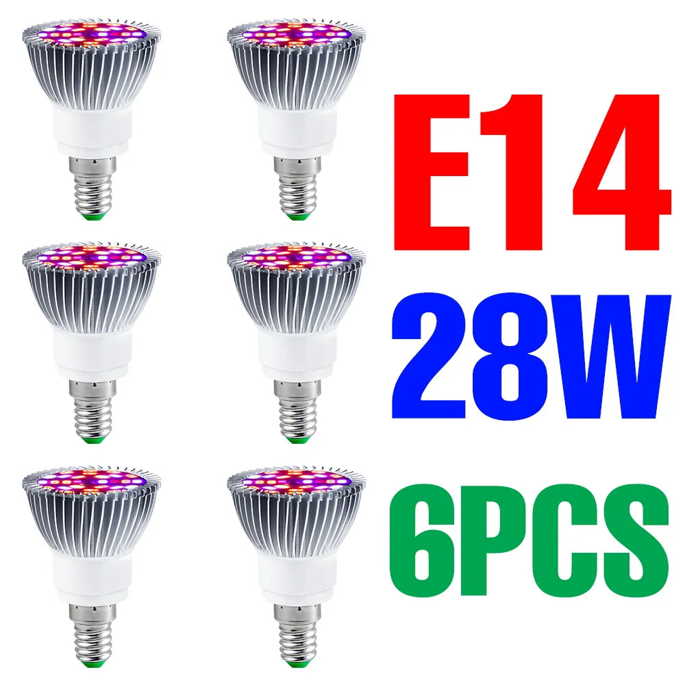 lampe croissance plantes led blanc rouge violet forme diamant moderne 50w 80w 100w e27