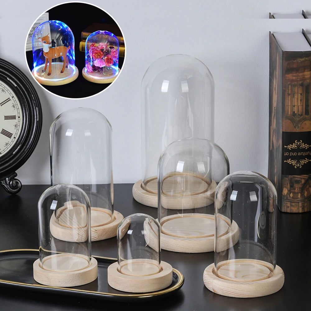 cloche verre moderne base bois anti poussière boîte rangement fleurs transparent légèrement opaque adhésif