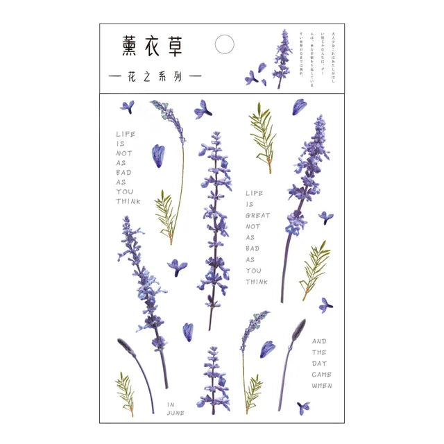 fleurs séchées décoratives naturelles adhésives transparentes variées sacs enfants papeterie mignonne