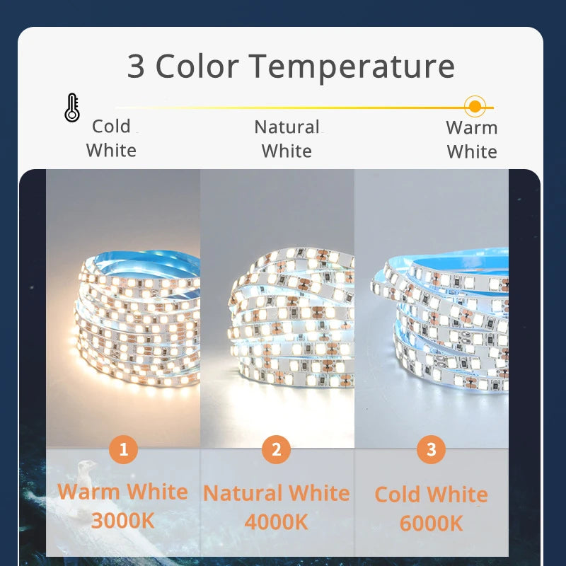 ruban led flexible blanc smd2835 adhésif moderne 12v 3000k 4000k 6000k 5m haute luminosité