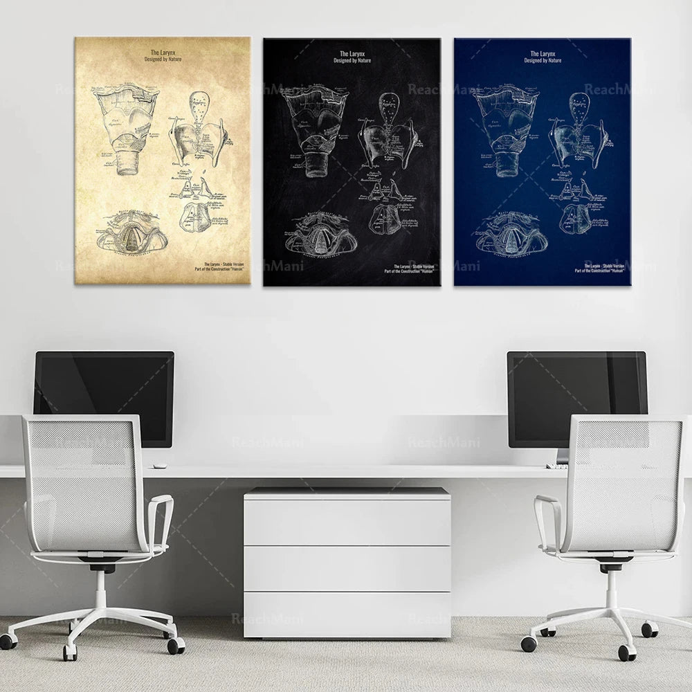 Trois affiches vintage avec des schémas techniques détaillés de l'équipement de plongée sous-marine, créés pour un style industriel et épuré, encadrés et accrochés sur un mur blanc avec du mobilier de bureau moderne en contraste.