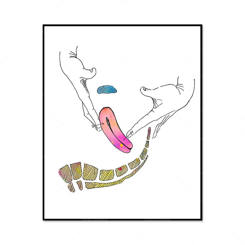 L'illustration montre des formes organiques abstraites et colorées formant un motif fluide et dynamique.