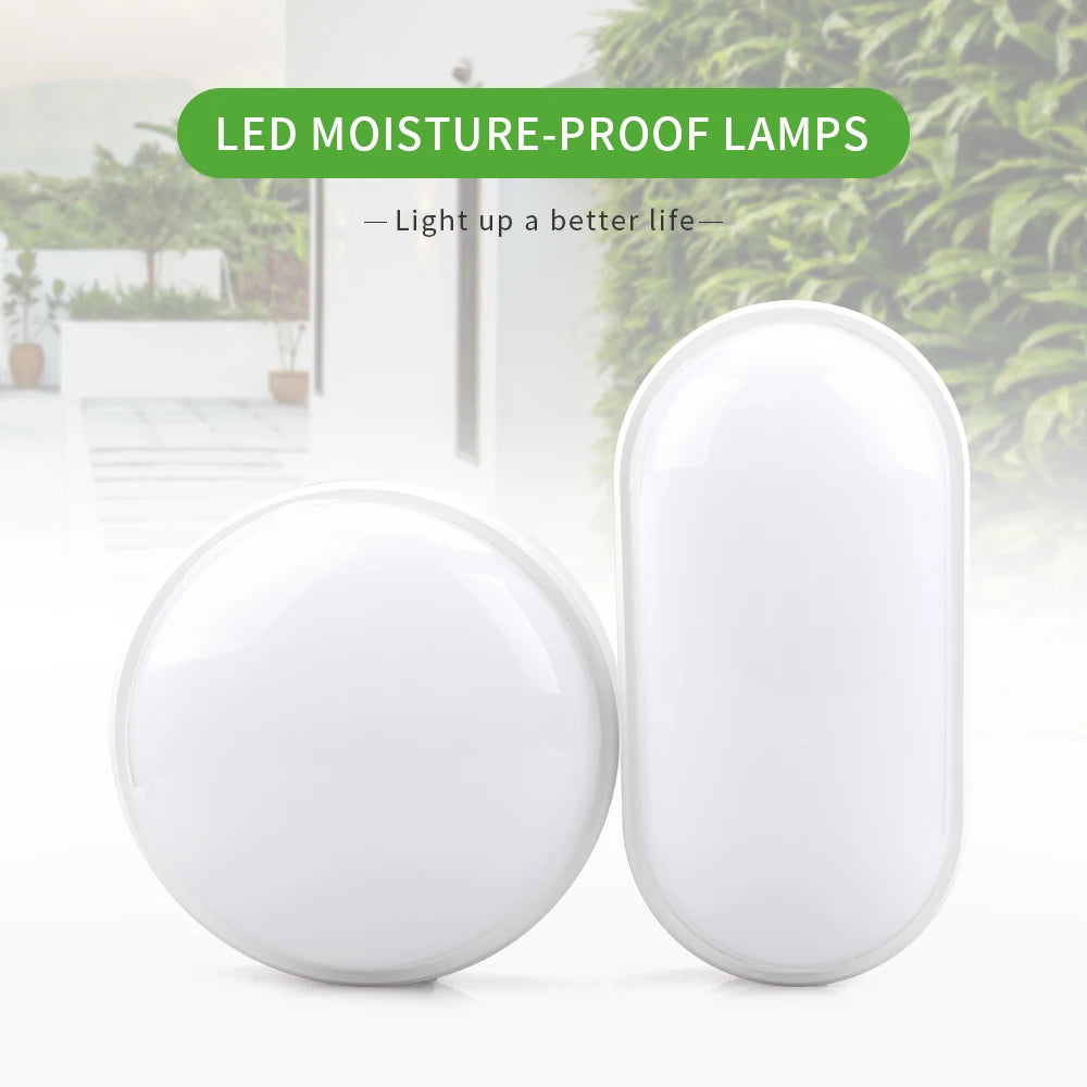 lampe led oval moderne résistante humidité 16w 20w nickel brossé ip65.gca
