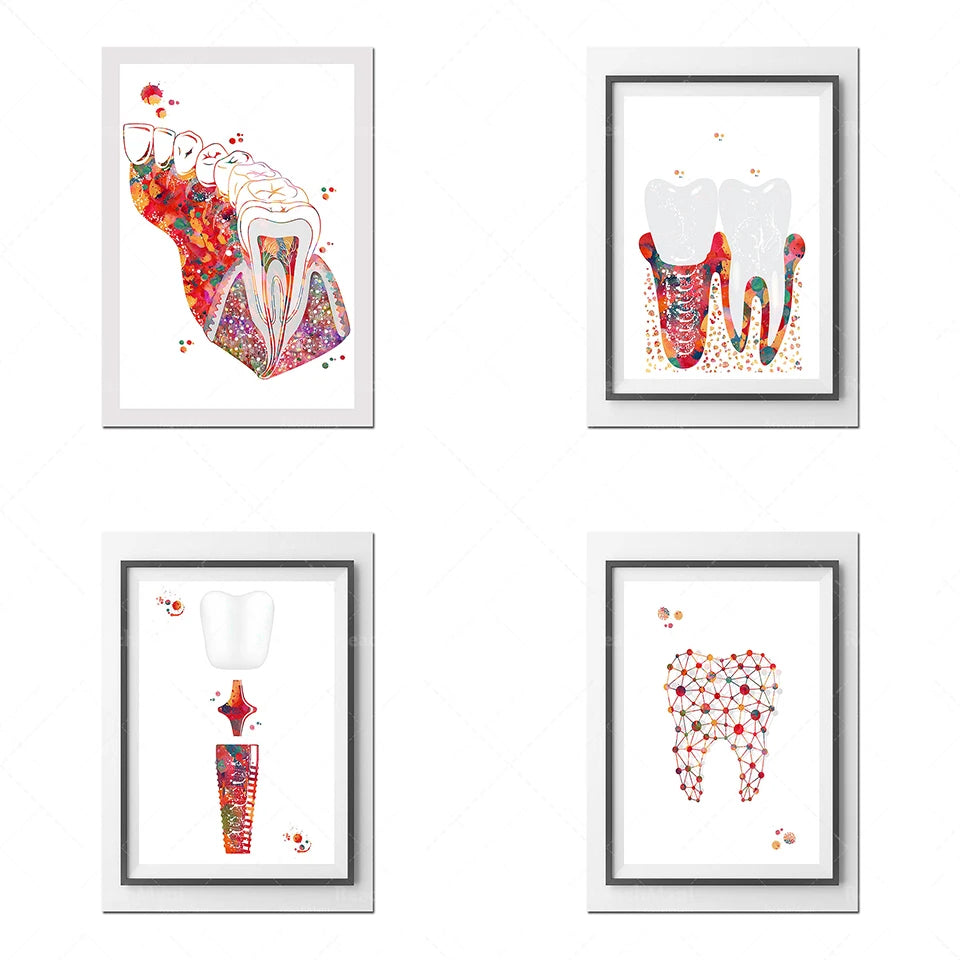 Des illustrations colorées et artistiques représentant des dents, des racines et des structures dentaires.