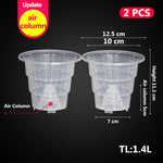Pots plante transparents modernes perforés drainants 10cm fleur verteintérieur